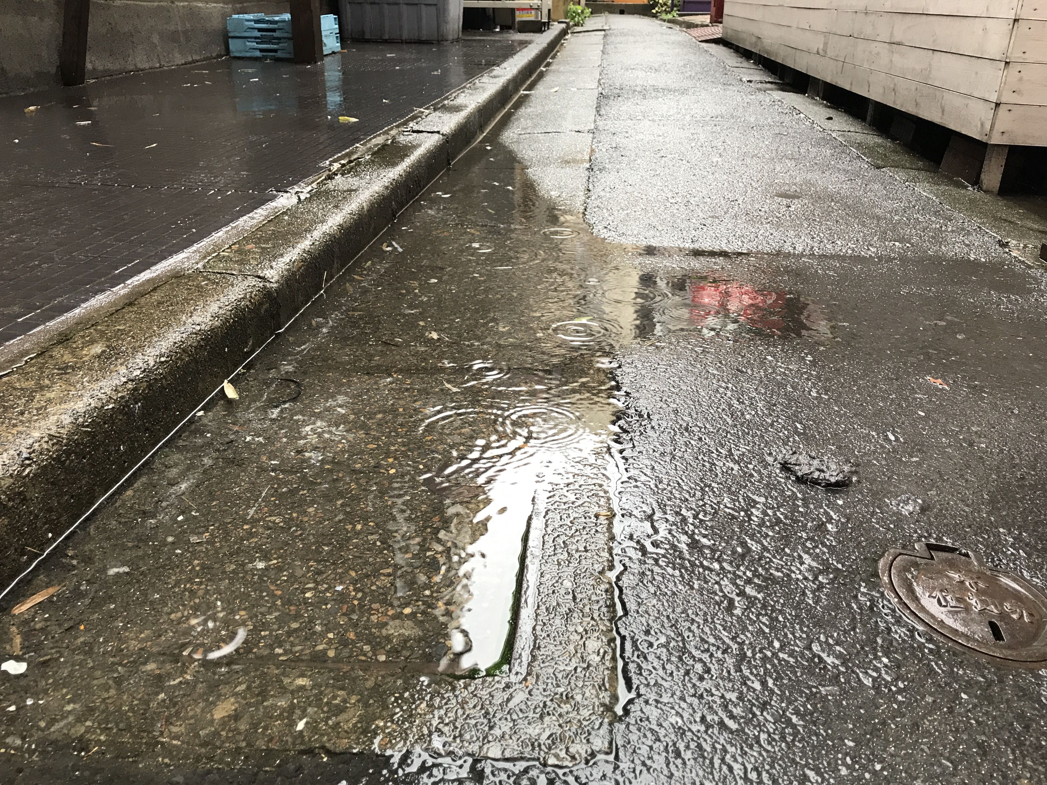 雨が降る下北沢