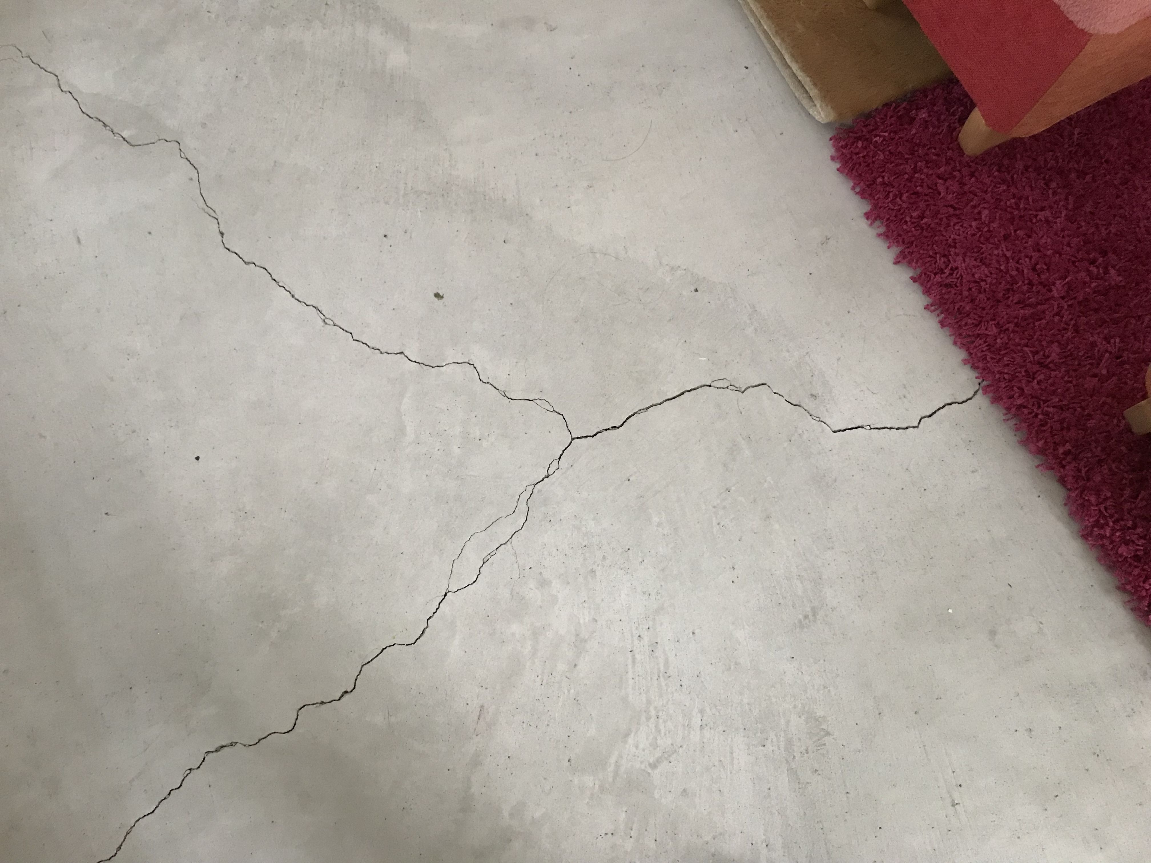 《大阪地震》死ぬかと思った…地震、マジでもう勘弁して(´Д` )のイメージ