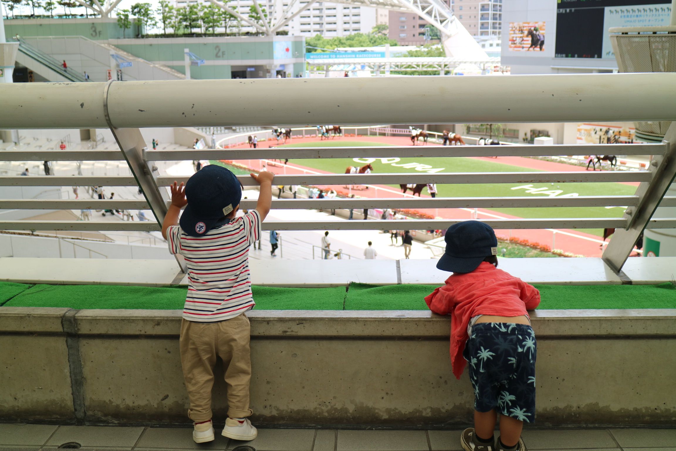 動物好きの子どもに競馬場おでかけ