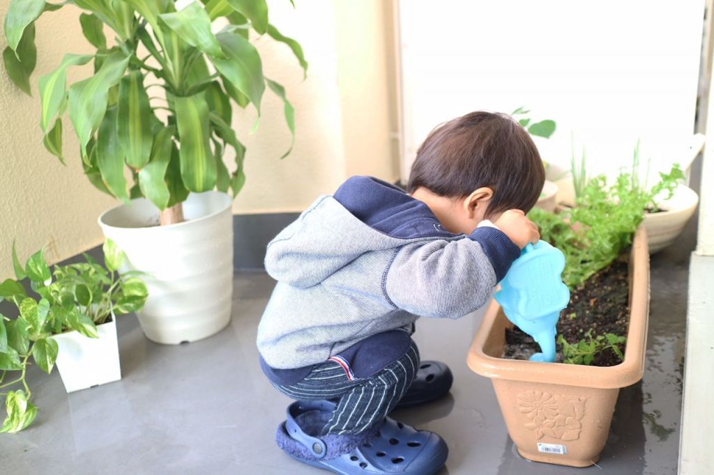 ベランダ菜園に熱心に水やりをしてくれる息子