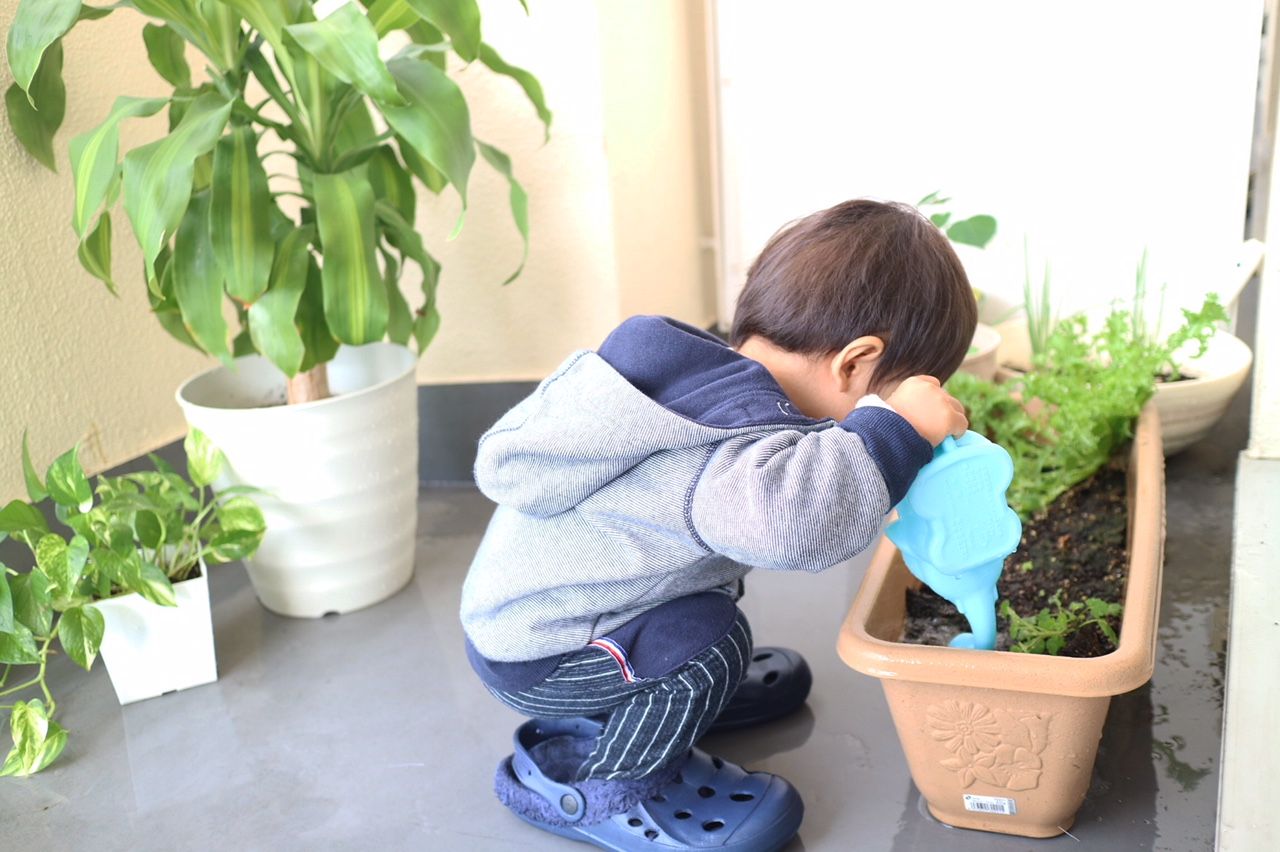 ベランダ菜園に熱心に水やりをしてくれる息子