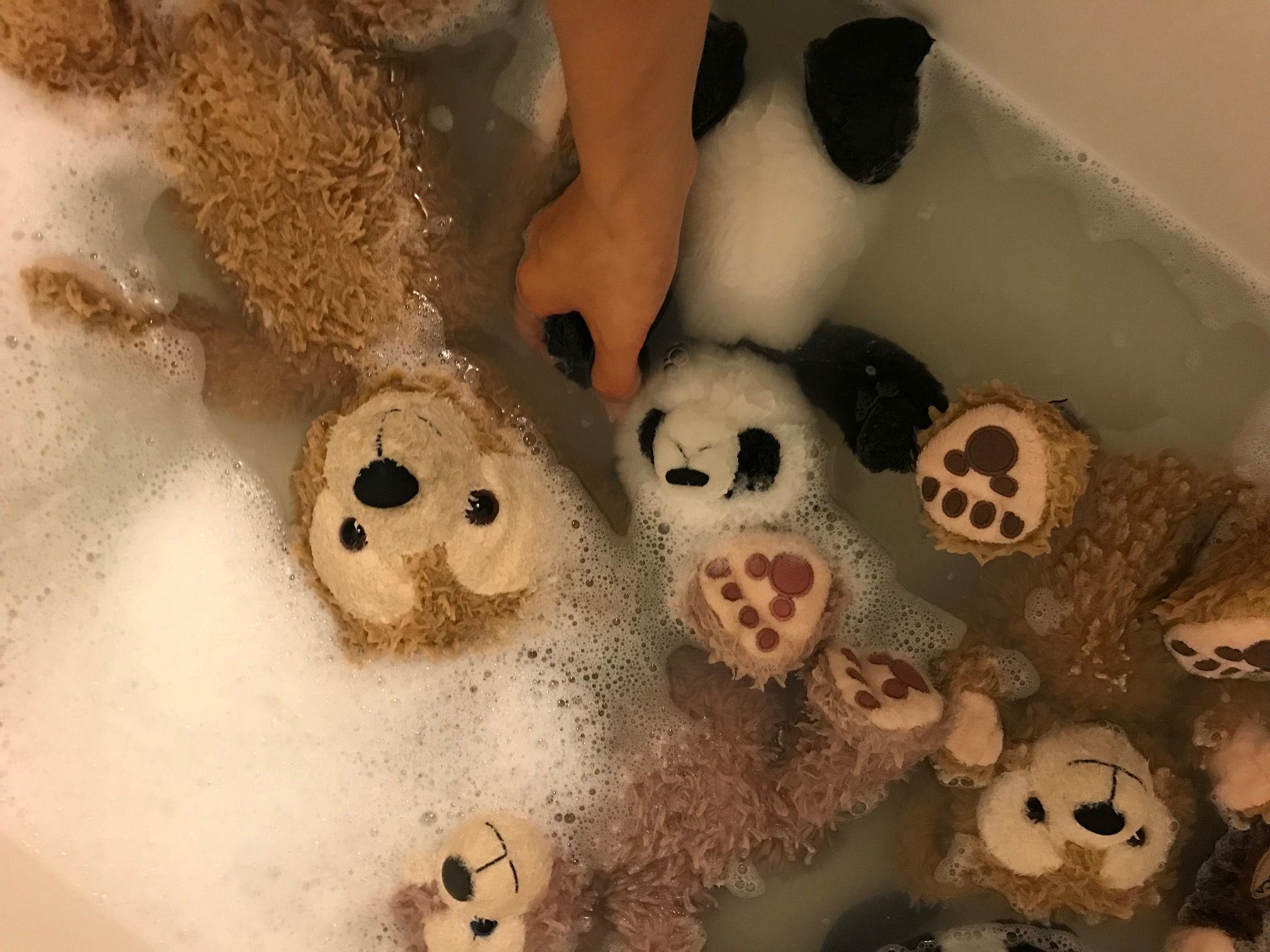 ぬいぐるみを洗濯中。
