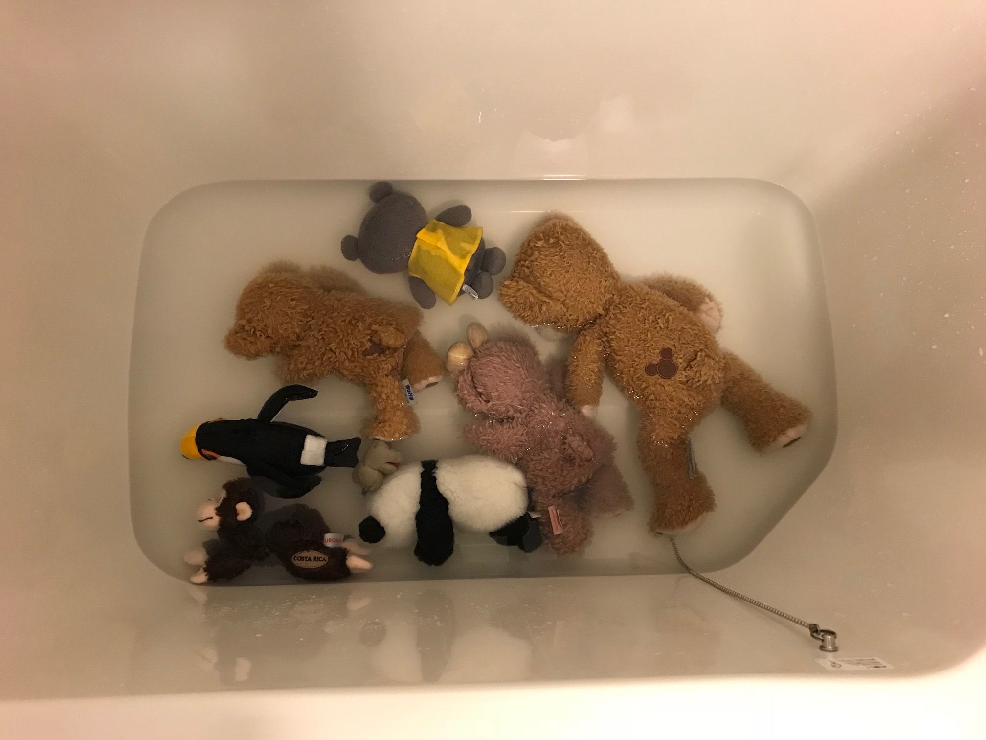 ぬいぐるみを洗濯中。
