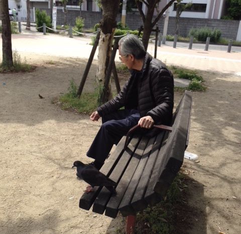 父は認知症！GO!GO!!介護日記！〜両親を自宅の隣に呼んだら〜のイメージ