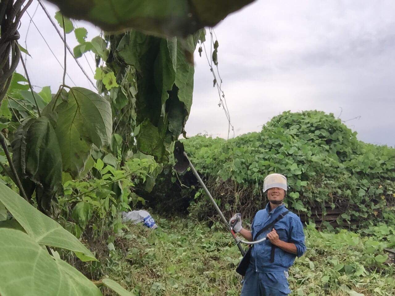 開業したメディア運営、奮闘しようとしたら…真夏の芝刈りに台風被害！？のイメージ