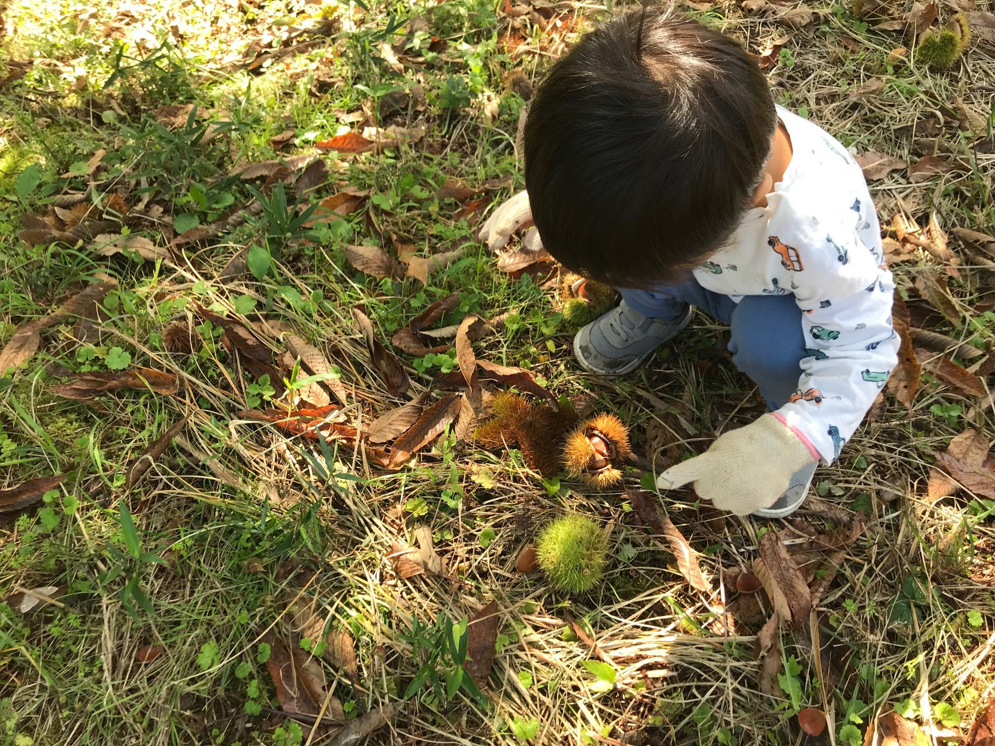 秋の味覚収穫大作戦！都会っ子なムスコと楽しむ、田舎の秋の贅沢。のイメージ