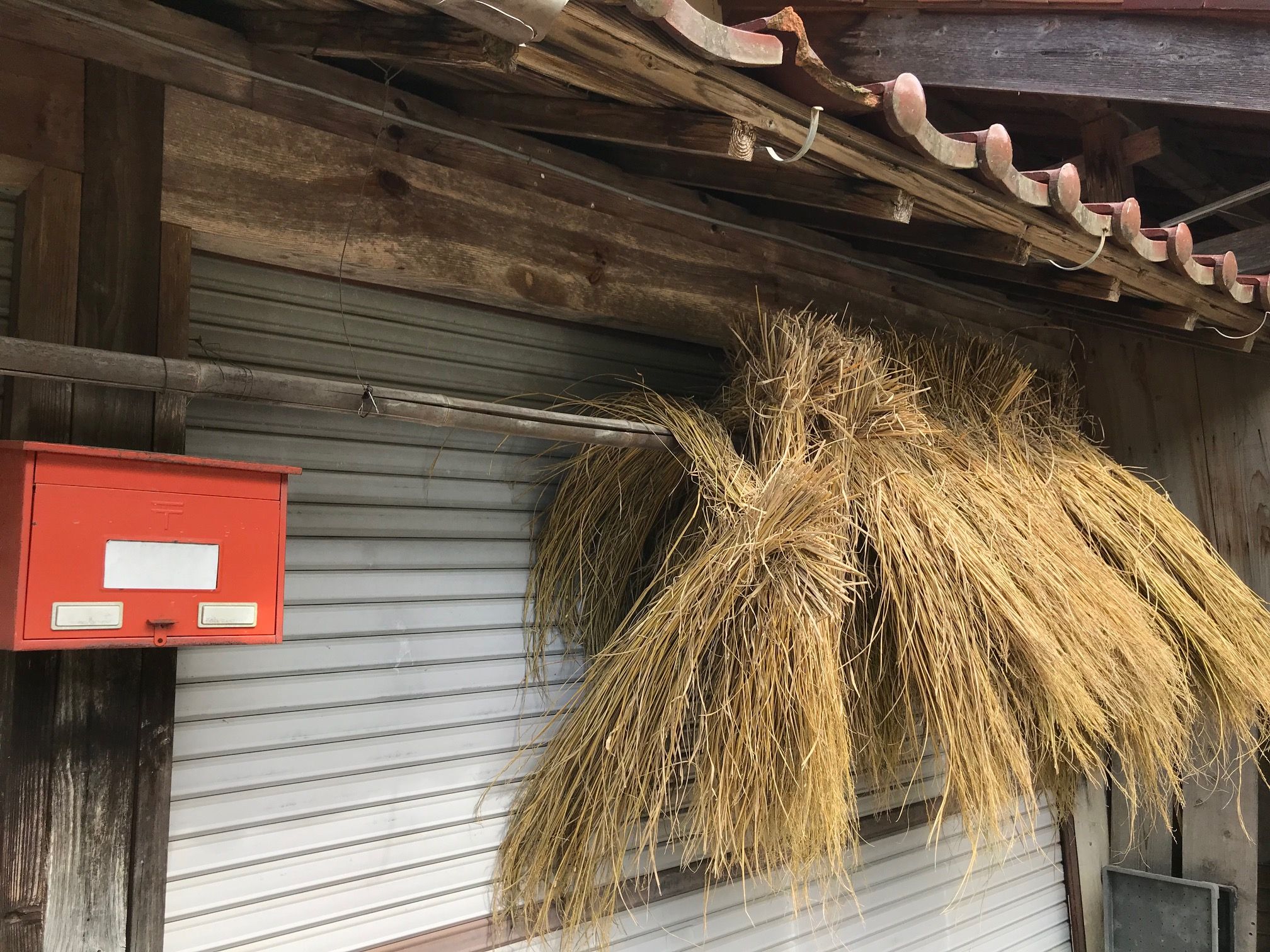 実りの秋