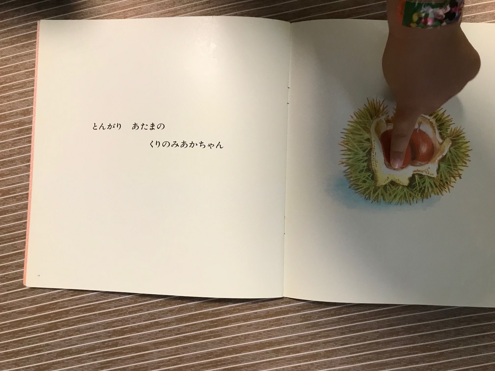 絵本「ねてるのだあれ」のくりのみあかちゃん