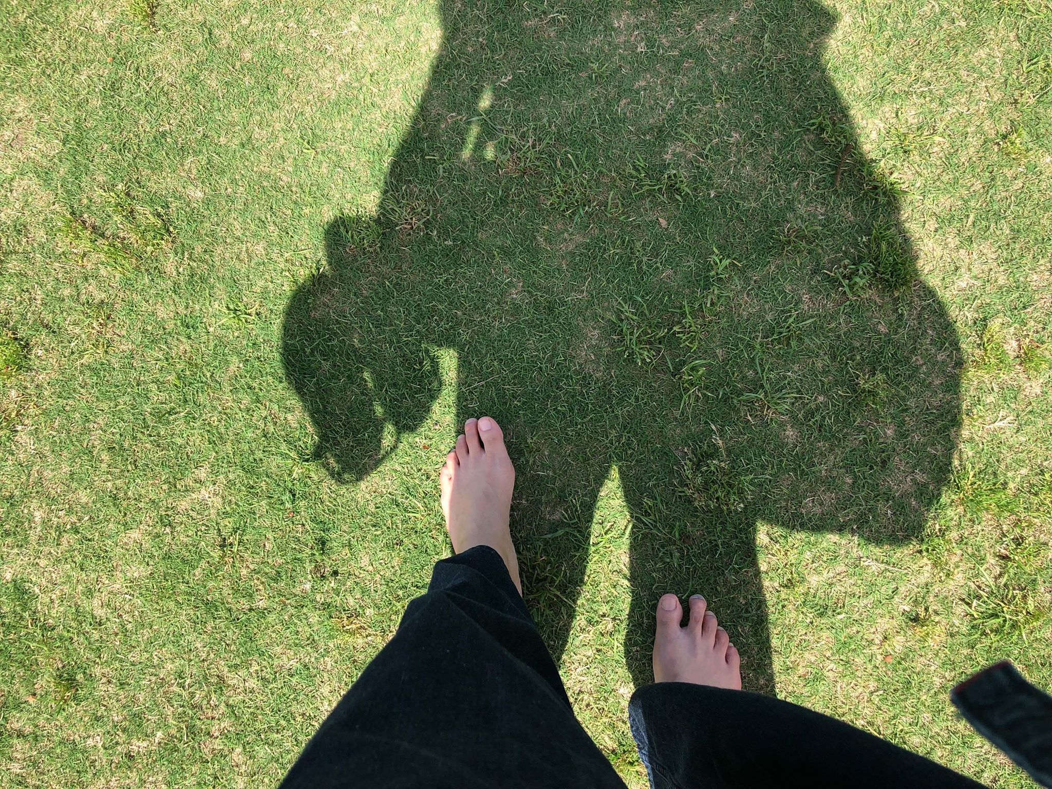 夢を叶えたいのになかなか叶わない理由は…？知れば夢を叶え、さらに一歩先に行きたくなる自分へのイメージ