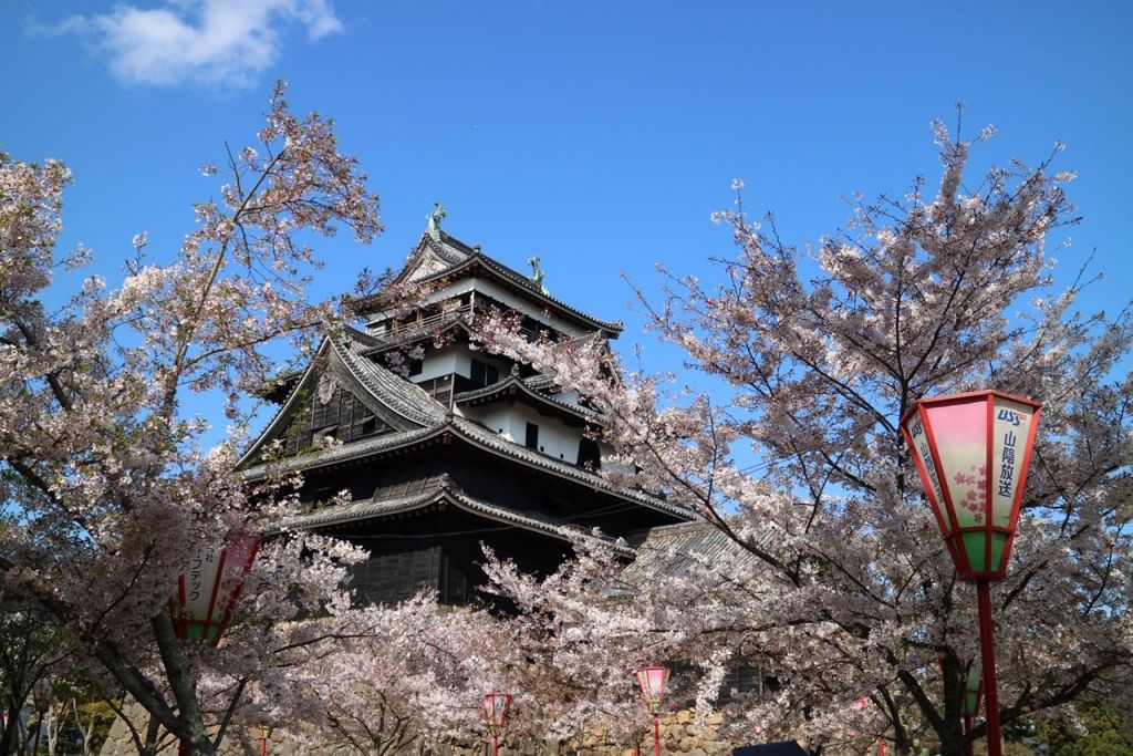 松江城と桜
