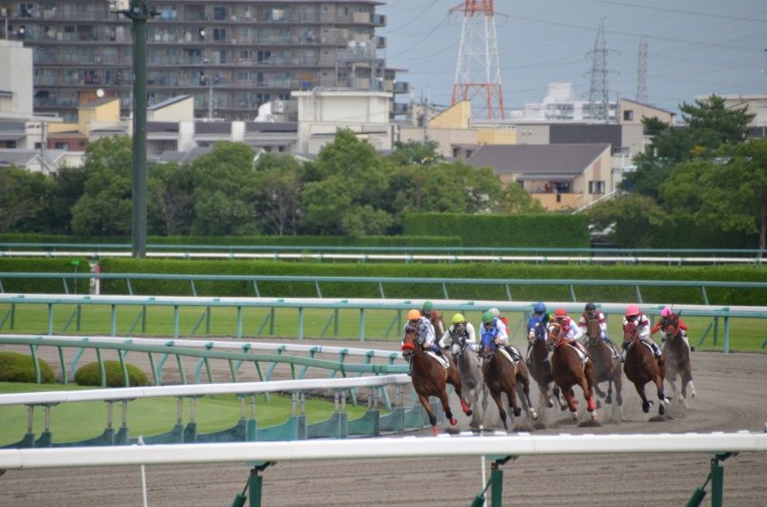 馬券を当てて大儲け?!競馬予想会社の情報サービスを信じた結果･･･のイメージ