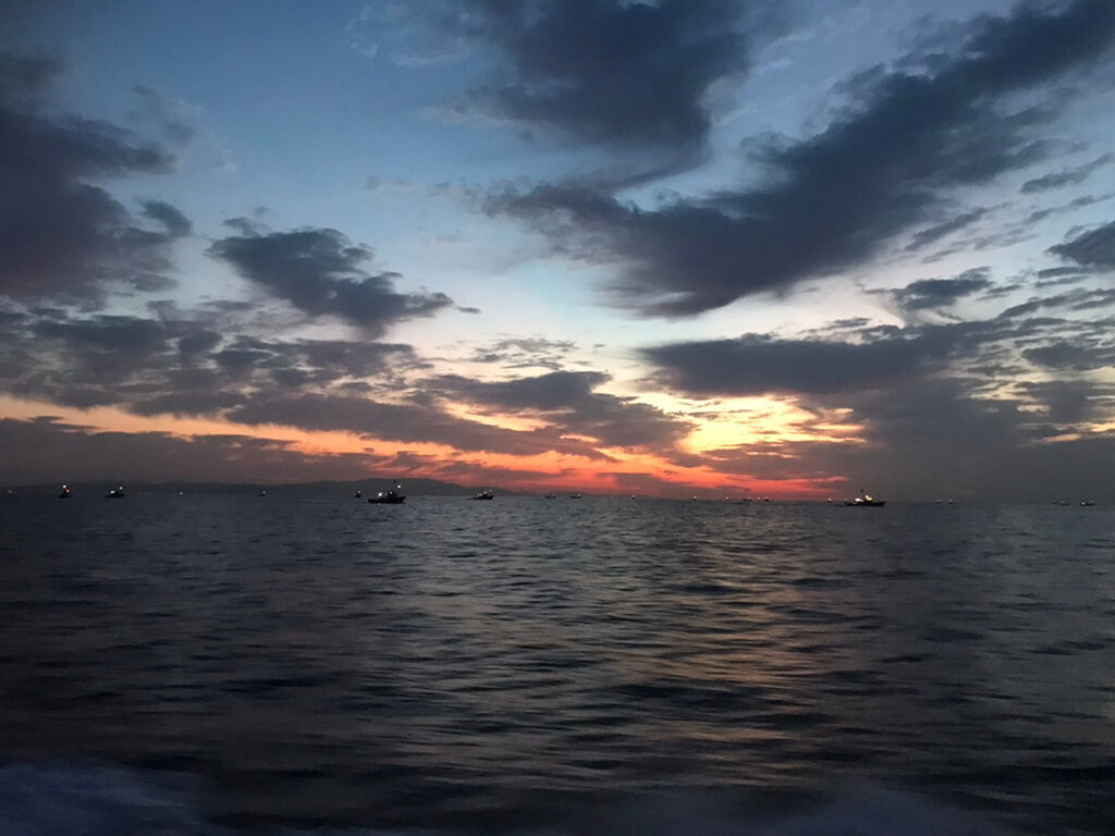 淡路の明け方の海