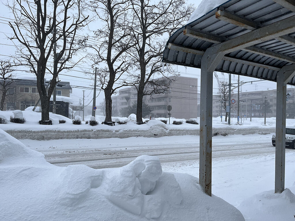 大雪だった北海道札幌