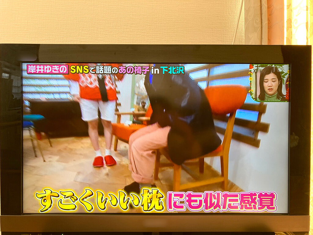 岸井ゆきのさんに「すごくいい枕にも似た感覚」と言っていただいたカームチェア