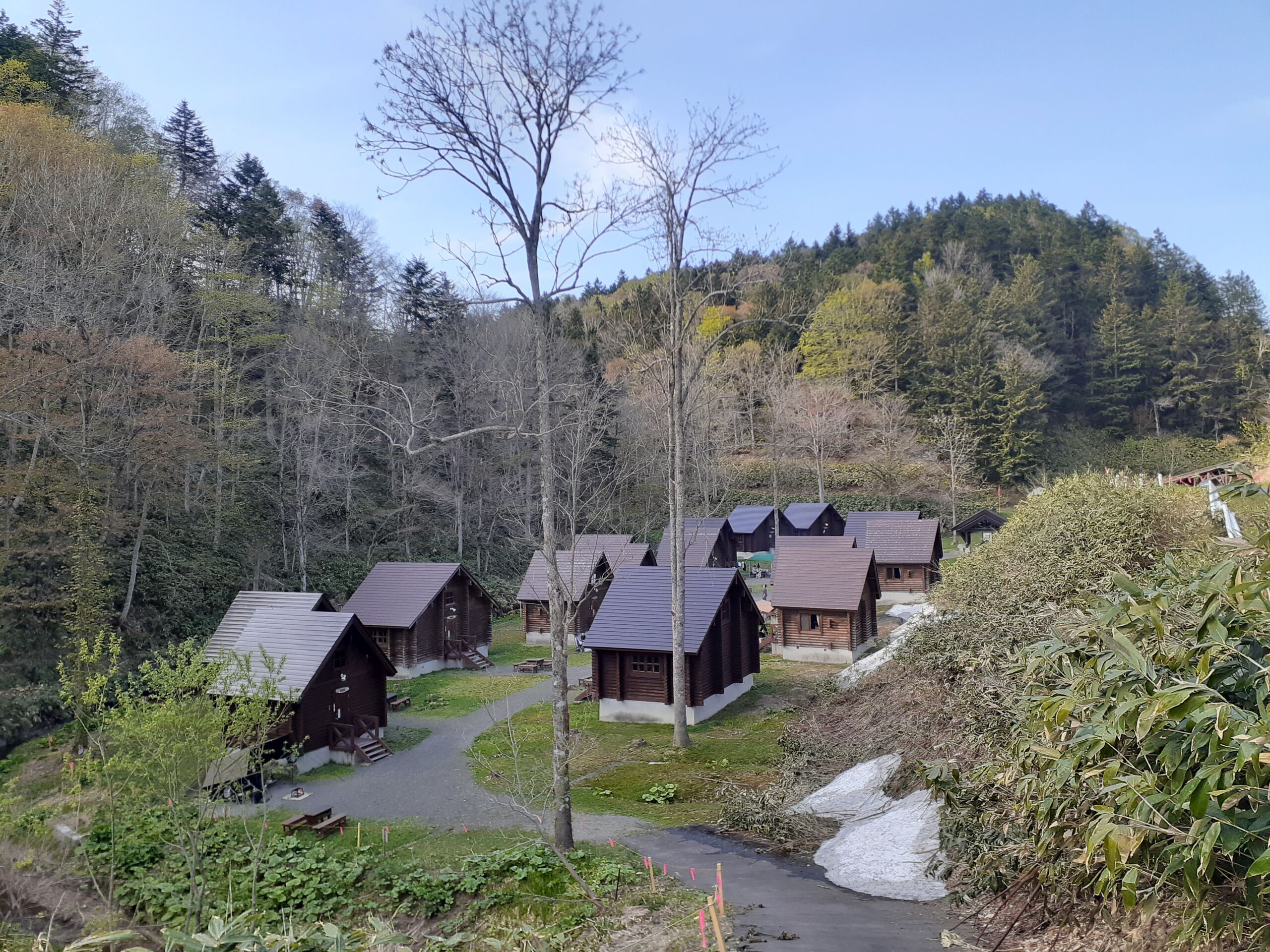 キャンプ場の全景