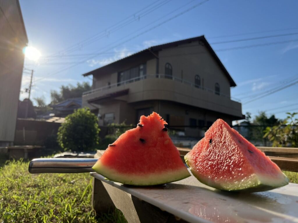 夏の淡路島スイカ