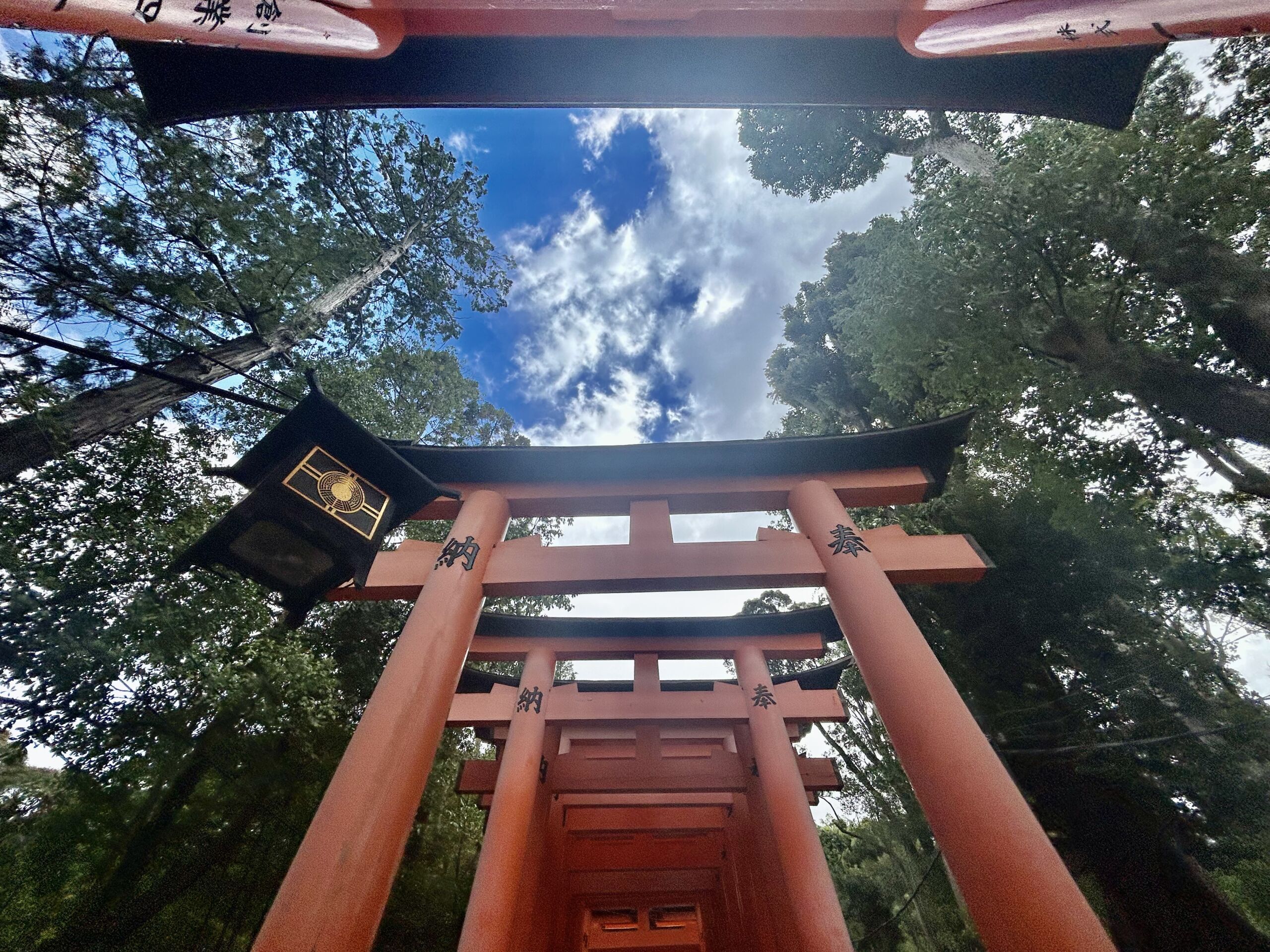 千本鳥居