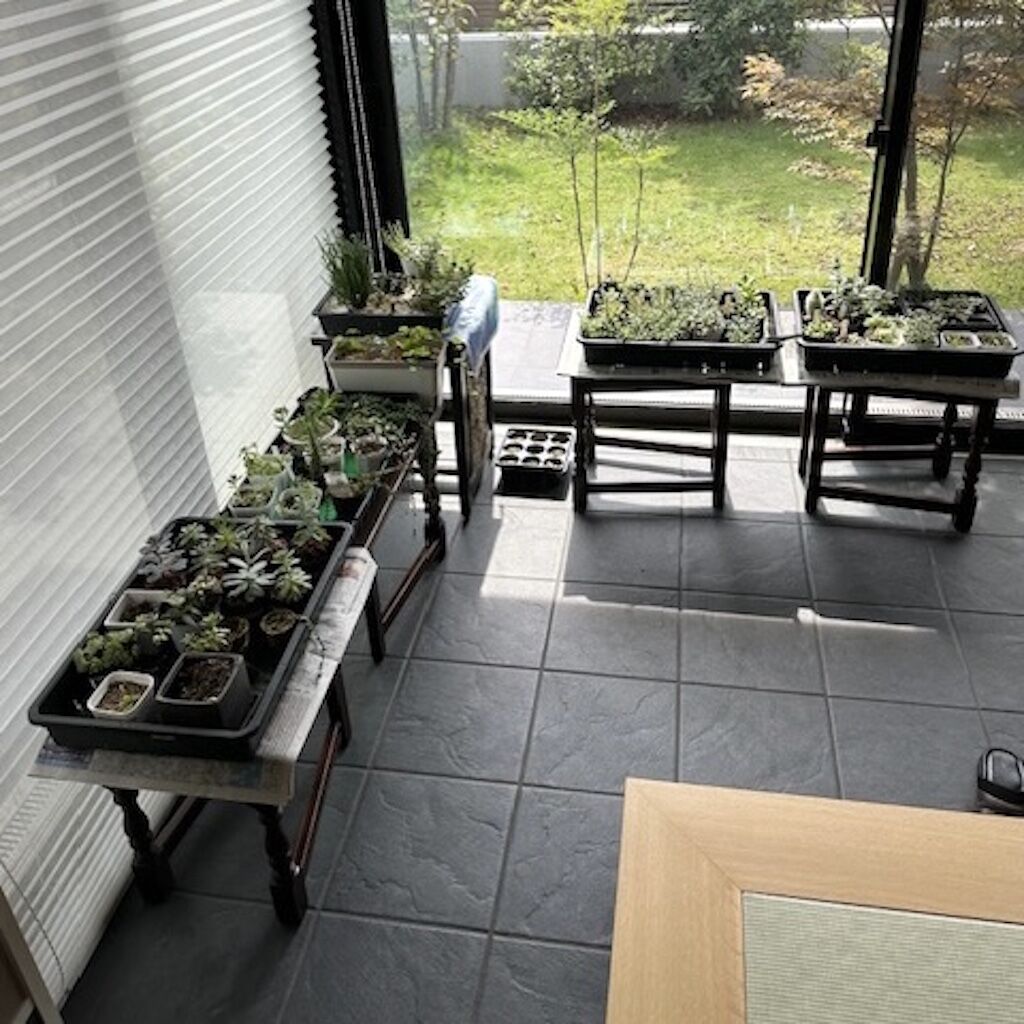 お客様からお送りいただいた家具に多肉植物を並べられたお写真