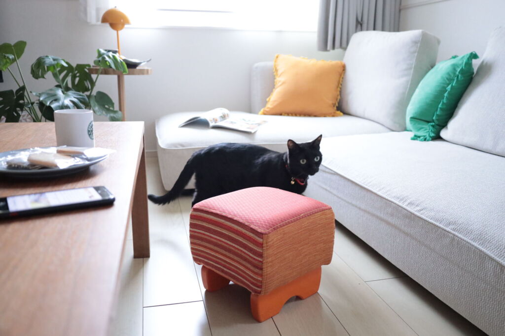 わらし猫のいる部屋