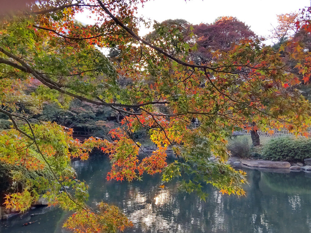 紅葉が綺麗な庭園美術館の庭