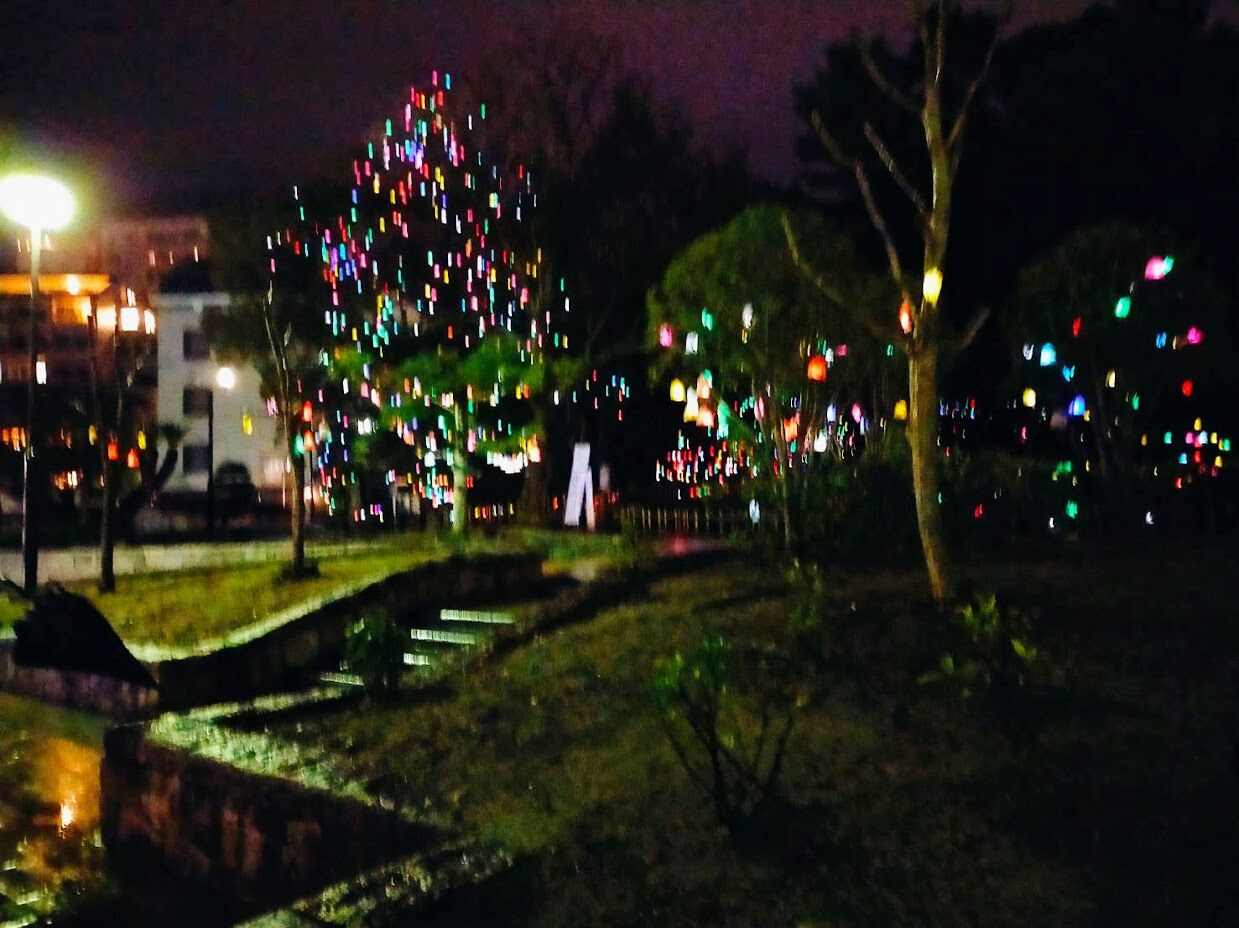 道後公園イルミネーション