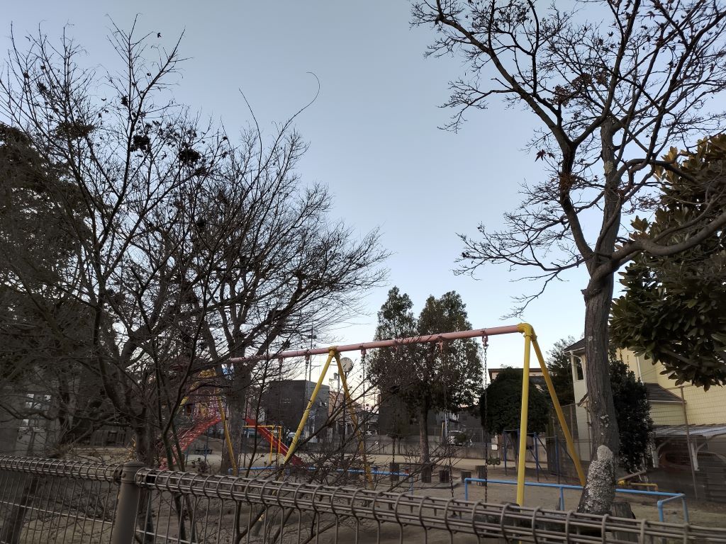 愛媛松山の公園