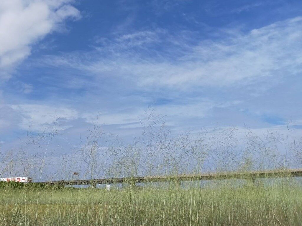 空