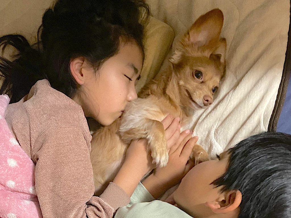 子どもたち
