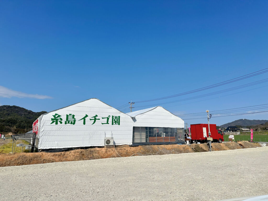 糸島イチゴ園