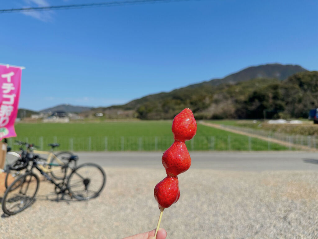 できたてのイチゴ飴
