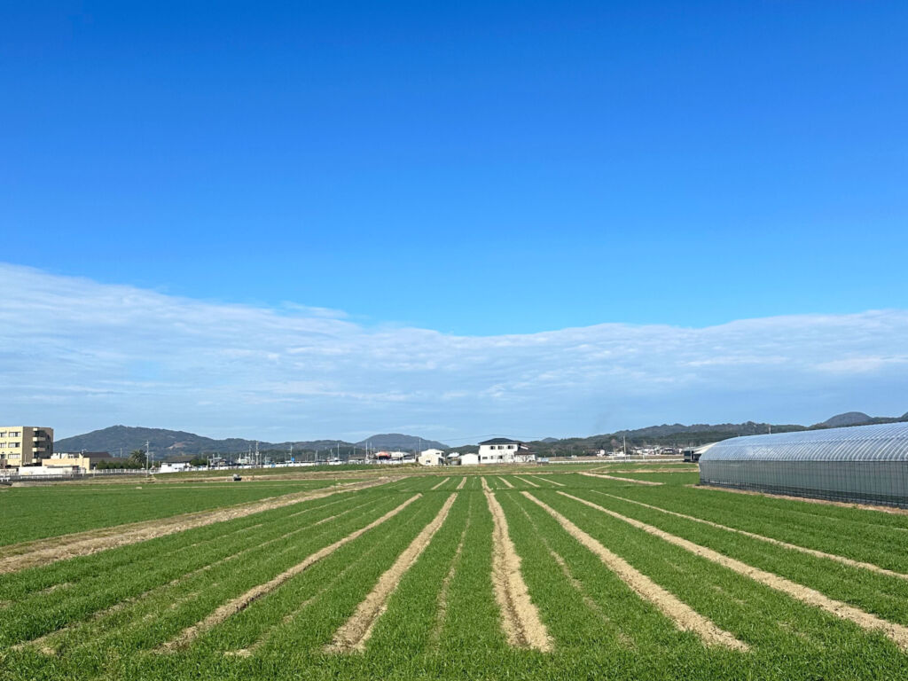 九州福岡糸島の自然