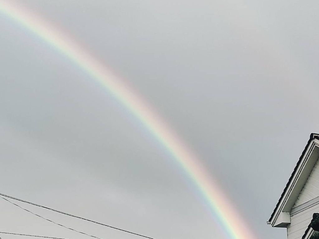 梅雨空でも元気なルーツファクトリー！5/27～6/1ダイジェスト