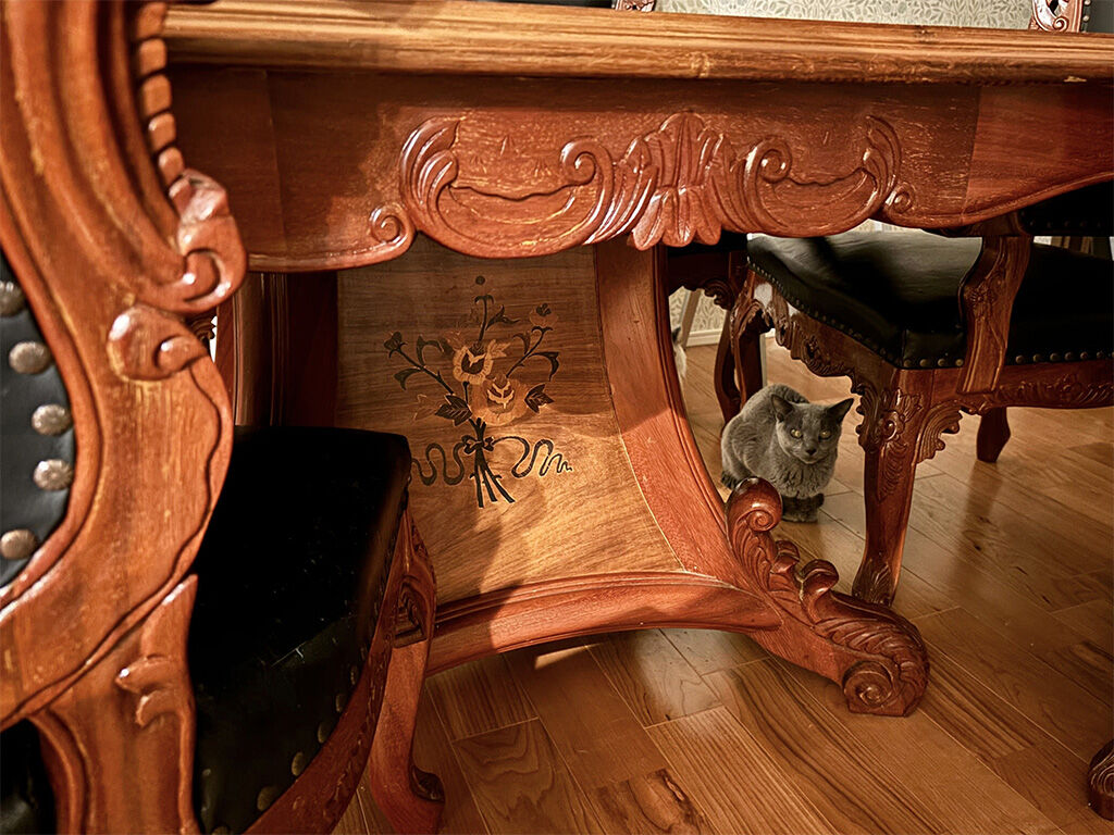 テーブルの脚と猫
